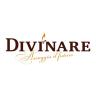  Divinare